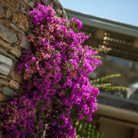 Luxury Residences On Tinos Island Guest house Dio Choria